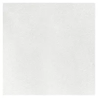 Потолочная плита Рокфон Лилия 15 A 15/24 600x600x15