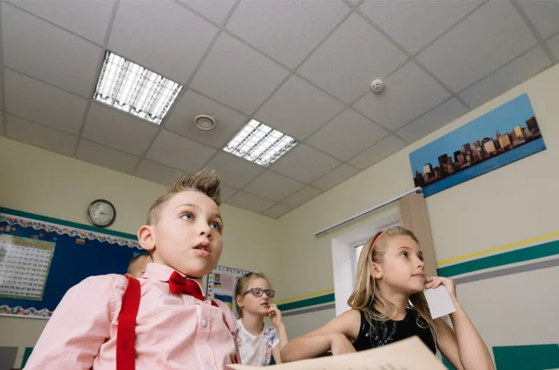 Как создать благоприятную акустическую среду в учебном заведении: решения для школ и вузов