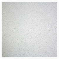 Плита потолочная POKROVER Лена Board 600х600х12