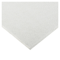 Плита потолочная Армстронг OASIS Board 600x600x12 купить в #REGION_NAME_PP# | Авангард